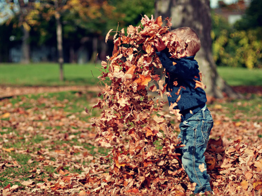 Child playing in the fall leaves