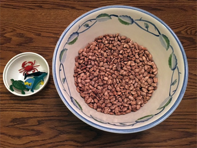 Practical Life - bean feeling bowl of beans and objects to hide