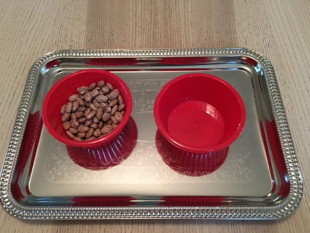 Practical Life - finger transfer - bowl of beans and empty bowl on tray